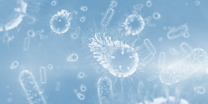 微生物のイメージ写真