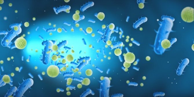 細菌のイメージ写真