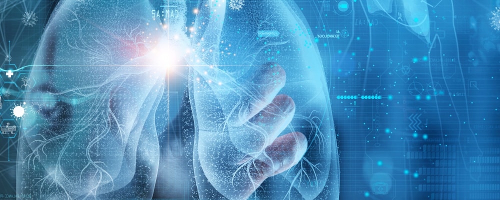 肺とデータのイメージ写真