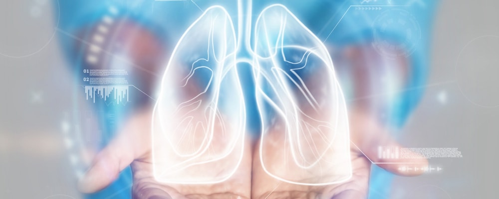 肺とデータのイメージ写真