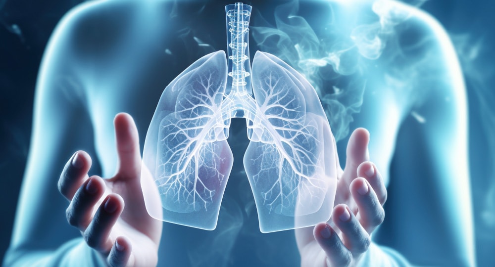 内部が透けた肺を触ろうとするイメージ写真