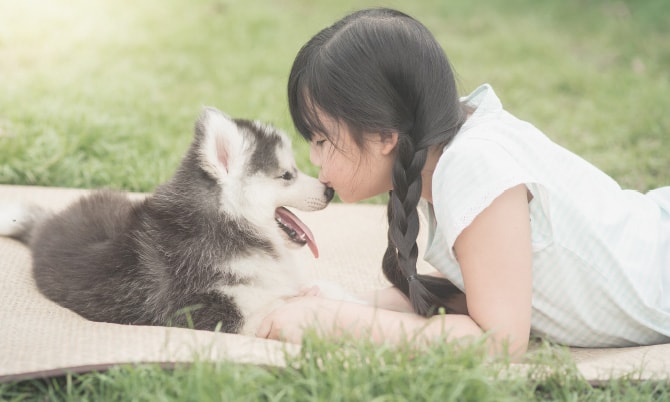 芝生の上で子犬と女の子が顔を近づける様子